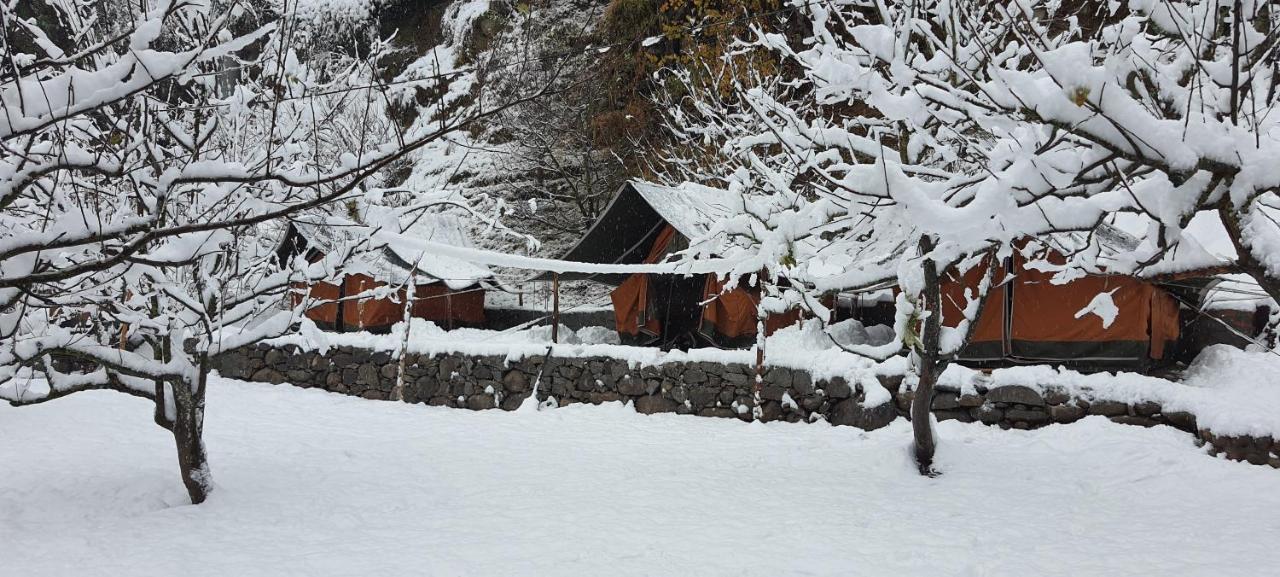 Himtrek Riverside Camps & Hostel Manali Exteriör bild