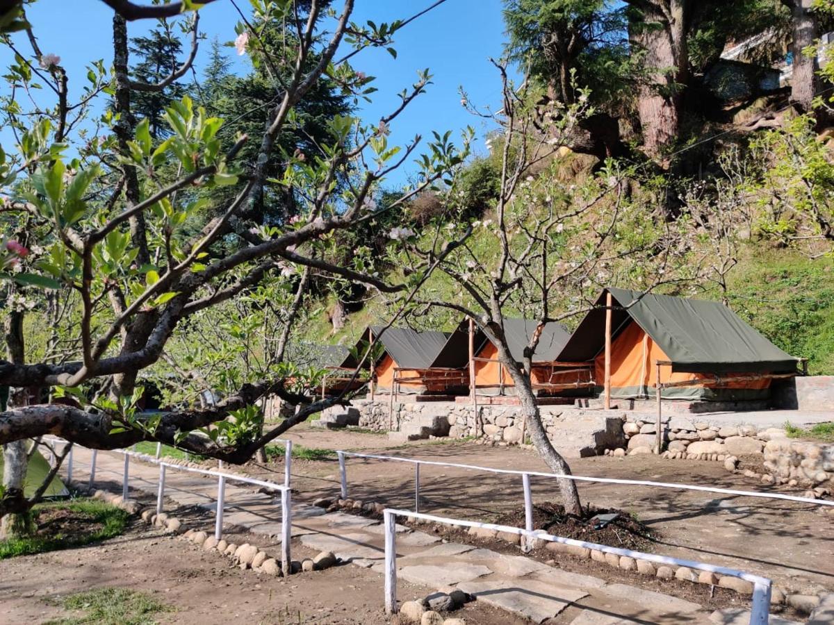 Himtrek Riverside Camps & Hostel Manali Exteriör bild