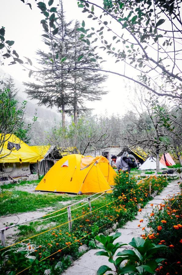 Himtrek Riverside Camps & Hostel Manali Exteriör bild