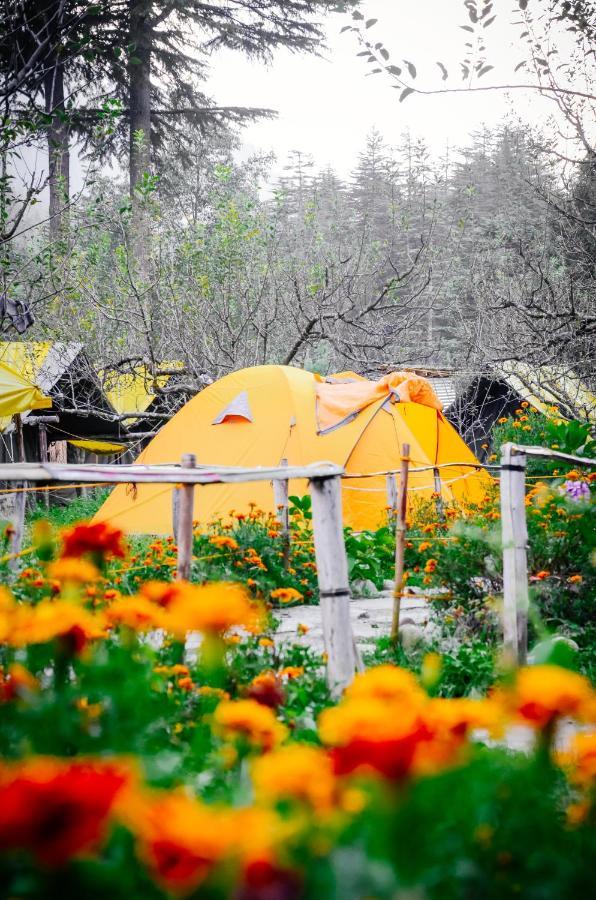 Himtrek Riverside Camps & Hostel Manali Exteriör bild