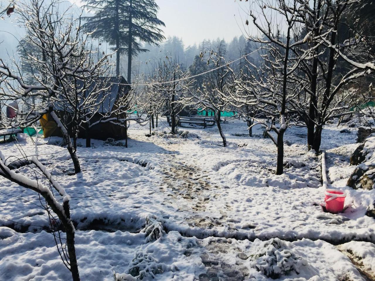 Himtrek Riverside Camps & Hostel Manali Exteriör bild
